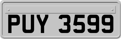 PUY3599