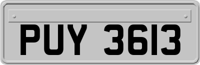 PUY3613