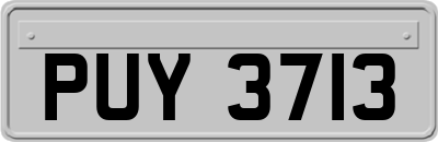 PUY3713