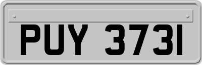 PUY3731