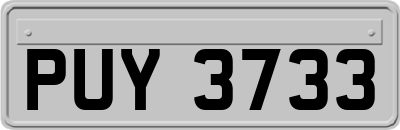 PUY3733