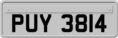 PUY3814