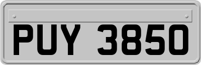PUY3850