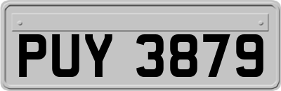 PUY3879