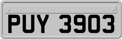 PUY3903