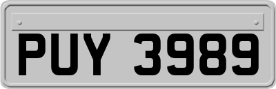 PUY3989