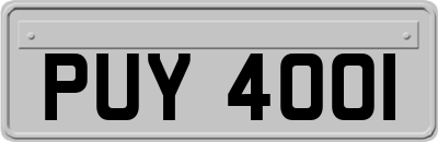 PUY4001