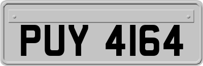 PUY4164