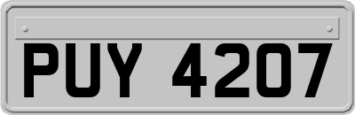 PUY4207