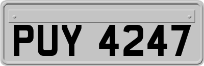 PUY4247