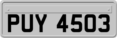 PUY4503