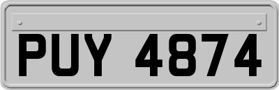 PUY4874