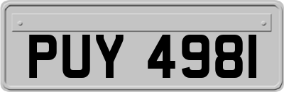 PUY4981