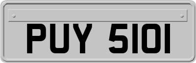 PUY5101