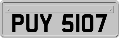 PUY5107