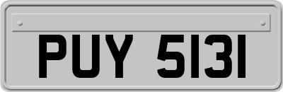 PUY5131