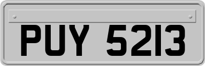 PUY5213