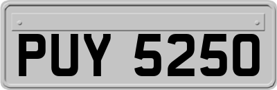 PUY5250