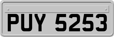 PUY5253