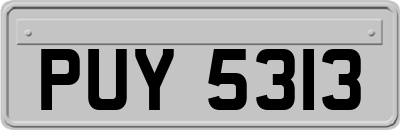 PUY5313