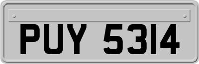 PUY5314