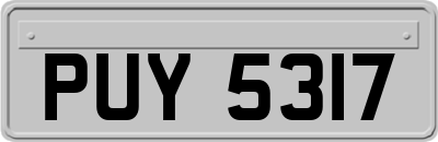 PUY5317