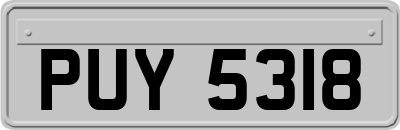 PUY5318