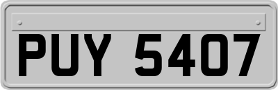 PUY5407