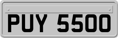 PUY5500