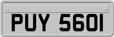 PUY5601