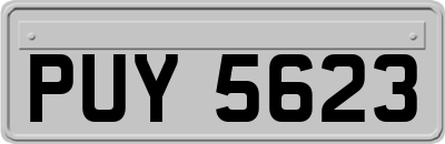 PUY5623
