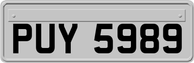 PUY5989