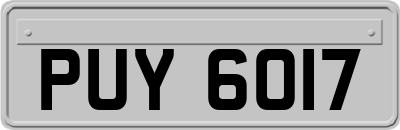 PUY6017