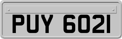 PUY6021