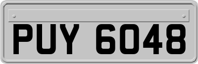 PUY6048