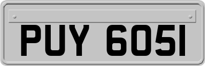 PUY6051