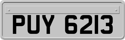 PUY6213