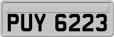 PUY6223