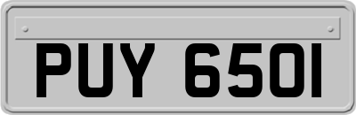 PUY6501