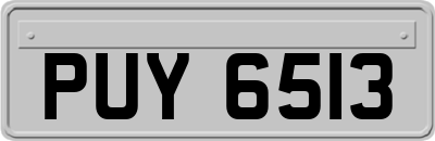 PUY6513
