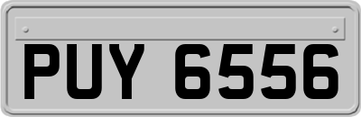 PUY6556
