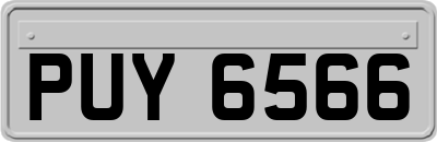 PUY6566