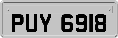 PUY6918