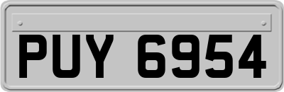 PUY6954
