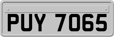 PUY7065
