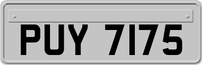 PUY7175