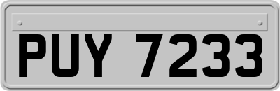 PUY7233