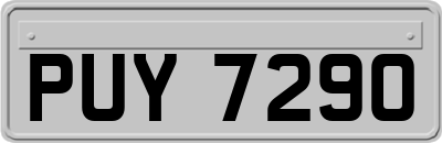 PUY7290