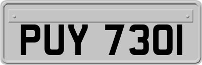 PUY7301