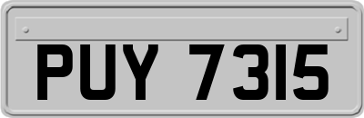 PUY7315